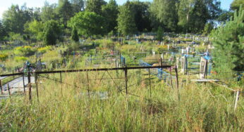 В Быхове чиновники нашли новое место для кладбища. Хоронить на нём будут цивилизованно, а тем временем старое кладбище зарастает (фоторепортаж)