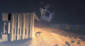 На Магілёўшчыне кіроўца «засеяў» 26 тонамі зерня дарогу