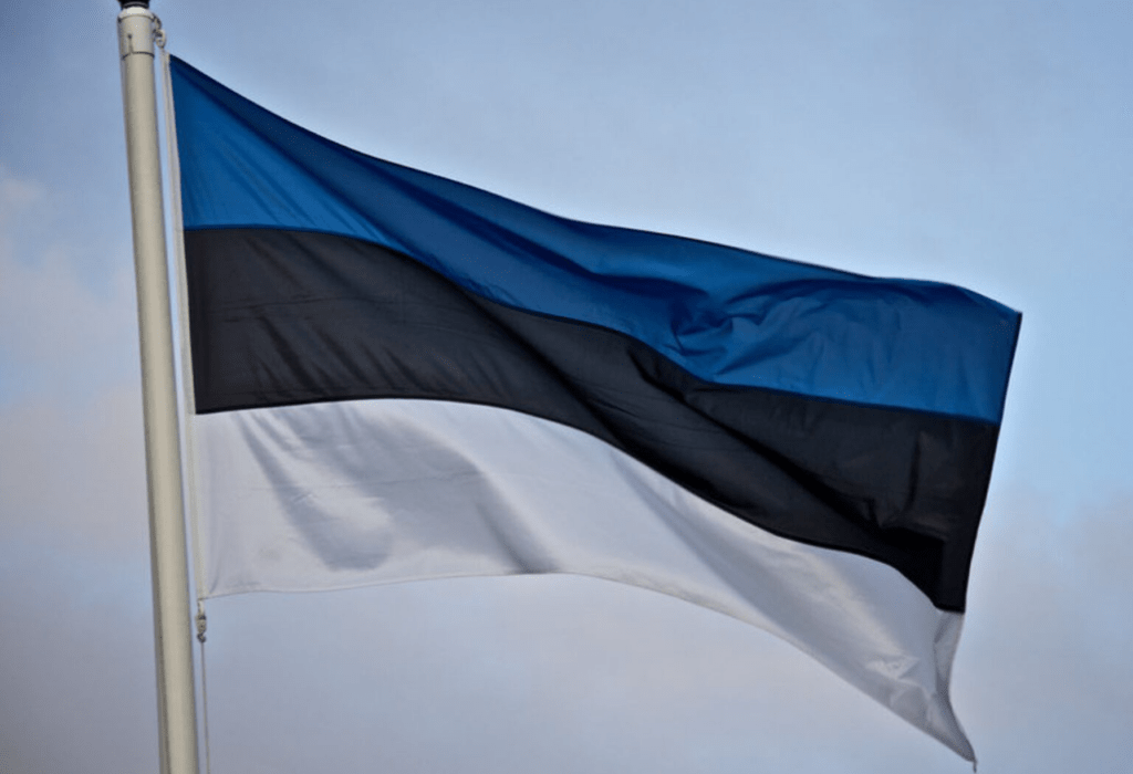 Эстонія наважылася адкрыць у Беларусі візавыя цэнтры. Яны запрацуюць у Бабруйску і Полацку