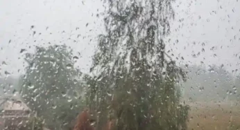 Надвор’е. У Магілёве цягам дня дождж і дужыя парывы ветру