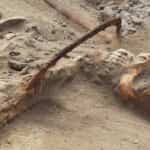 Польскія археолагі знайшлі шкілет жанчыны з сярпом на горле