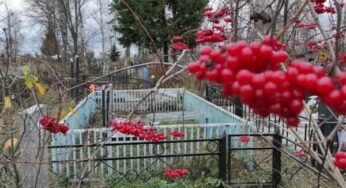 Сегодня православные отмечают осенние Деды