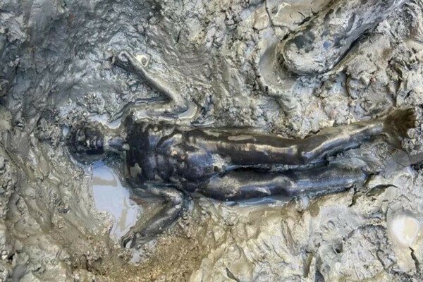 24 бронзавыя сенсацыі знойдзены пры раскопках старажытнарымскіх лазняў у Італіі