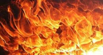 Два браты загінулі ў пажары на Шклоўшчыне