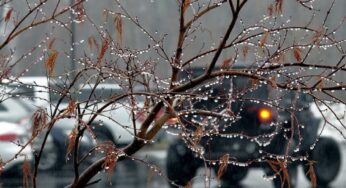 Магілёўшчына плыве з-за адлігі. Надвор’е на выходныя