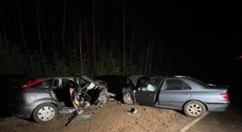 Пайшоў на абгон – пад Бабруйскам у аварыі загінулі двое