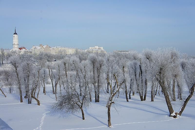 Тэмпературы блізкія да 0°С, мокры снег прагназуецца на выходныя і на наступным тыдні ў Магілёўскай вобласці