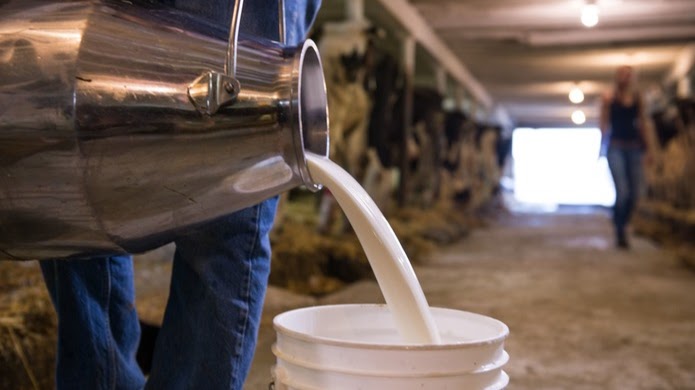 Привычное последнее место – анализ молочного производства в регионе