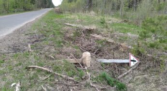 Пад Крычавам адзін дарожны знак ператварылі ў святыню, а другі зрынулі з дарогі – фота