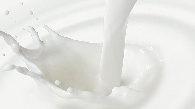 Молочное производство на Могилевщине – мелкие шажки провального характера