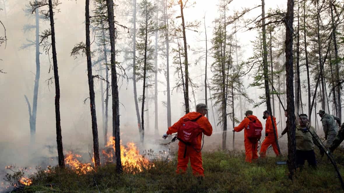 У двух раёнах Магілёўшчыны згарэла амаль дзве тысячы кубоў лесу за два дні