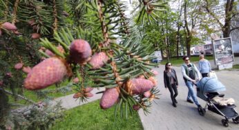 Зноў без дажджоў, днём будзе цёпла, ноччу прахалодна – надвор’е на наступны тыдзень