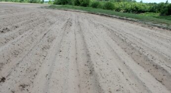Страсти в агрогородке под Шкловом – удобрения уходят в реку, земля деградирует