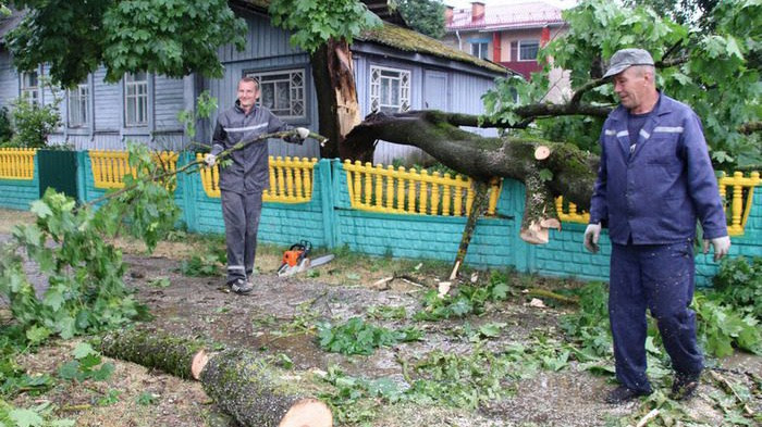 Навальніца ў Касцюковічах – дрэвы паламала напалам, разбіла агароджу