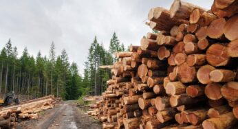 Плохи дела на Могилевщине – большой экономический обзор, продолжение