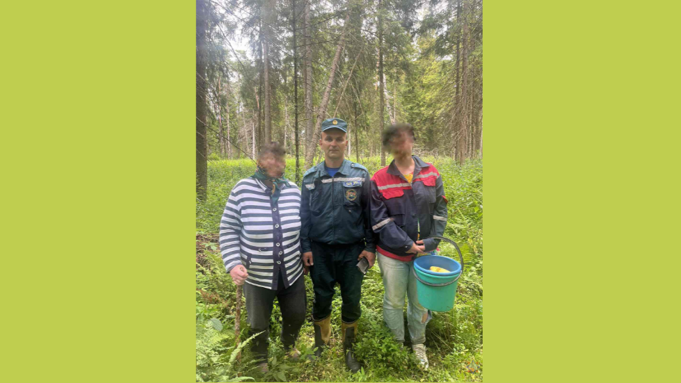 Маці і дачка заблукалі ў ягадах пад Магілёвам, іх шукалі некалькі гадзін