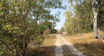 Доўгае бабіна лета – прагноз надвор’я на наступны тыдзень