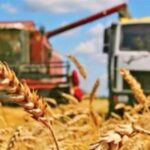 Теория успеха – анализируем аграрный сектор экономики