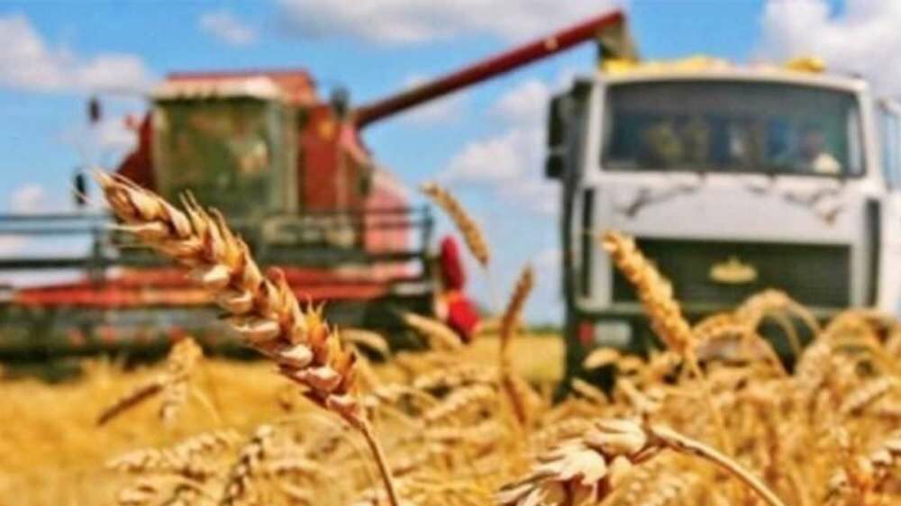 Теория успеха – анализируем аграрный сектор экономики