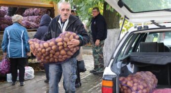У Магілёве пройдуць апошнія восеньскія кірмашы