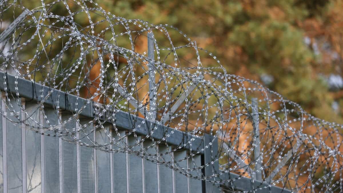 Природоохранная служба КГК озаботилась забором, построенным поляками на границе с Беларусью