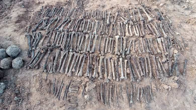 Тысячы чалавечых костак знайшлі на тэрыторыі магілёўскай горбальніцы