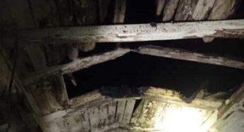 Пад Бабруйскам ледзь не згарэлі амаль 100 цялят