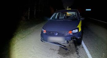 У Бабруйскім раёне загінуў пешаход – ён ішоў ледзь не па цэнтры дарогі