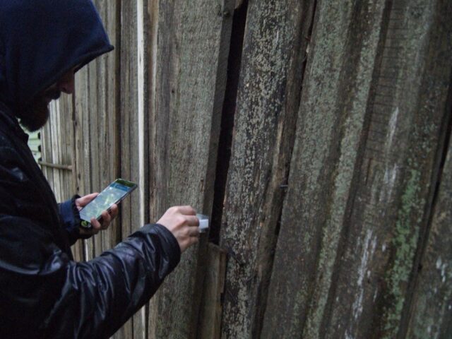 Фасовали “товар” и прятали в тайниках: влюбленная пара из Могилева попалась в Минске