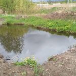 Жанчыну, падазраваную ў падпале, выратавалі ад утаплення пад Бабруйскам