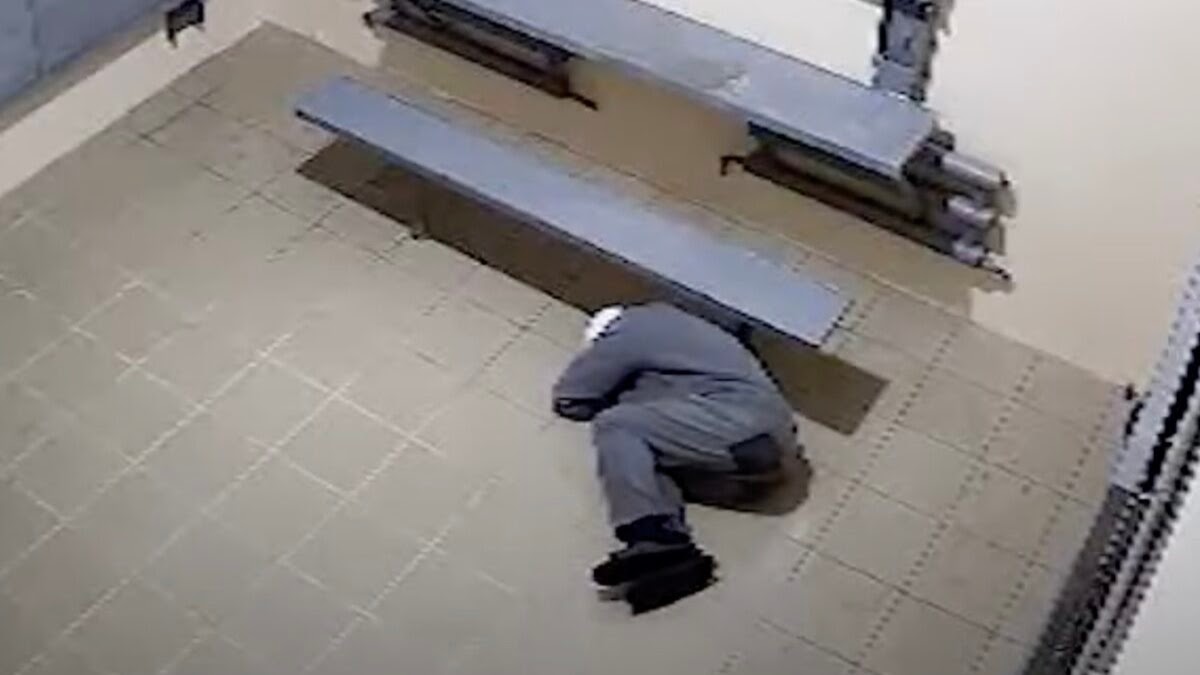 шкловская калонія