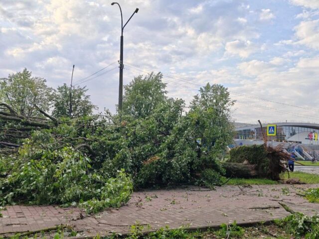 Жорсткая навальніца абрынулася на Магілёў і вобласць гэтай ноччу