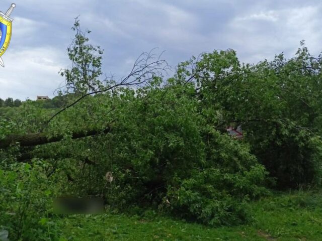 Падчас стыхіі ў Магілёве загінула жанчына