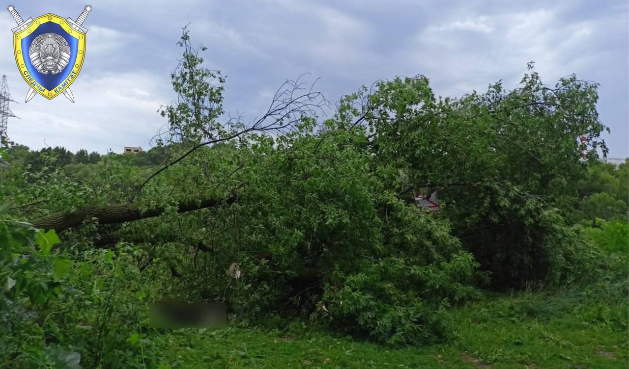 Падчас стыхіі ў Магілёве загінула жанчына