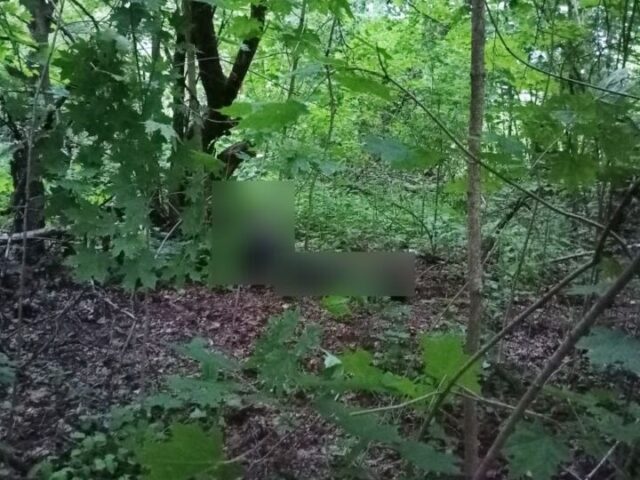 В Хотимском районе был обнаружен труп неизвестного мужчины без документов