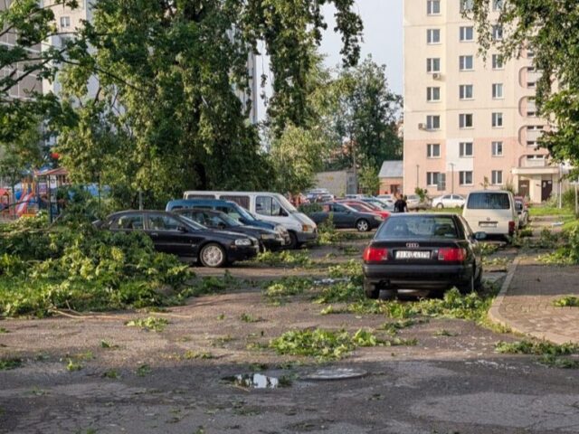 Могилевские власти обещают компенсировать людям ущерб от урагана