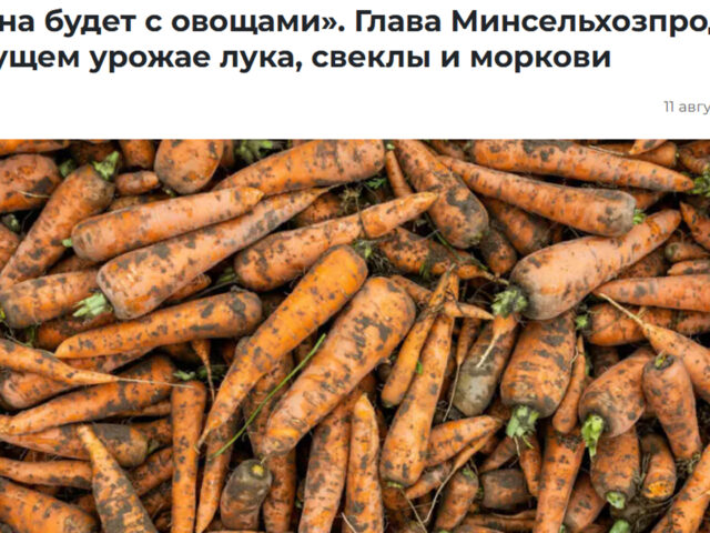 Сайты райисполкомов Могилевщины: витрина успехов или зеркало проблем?