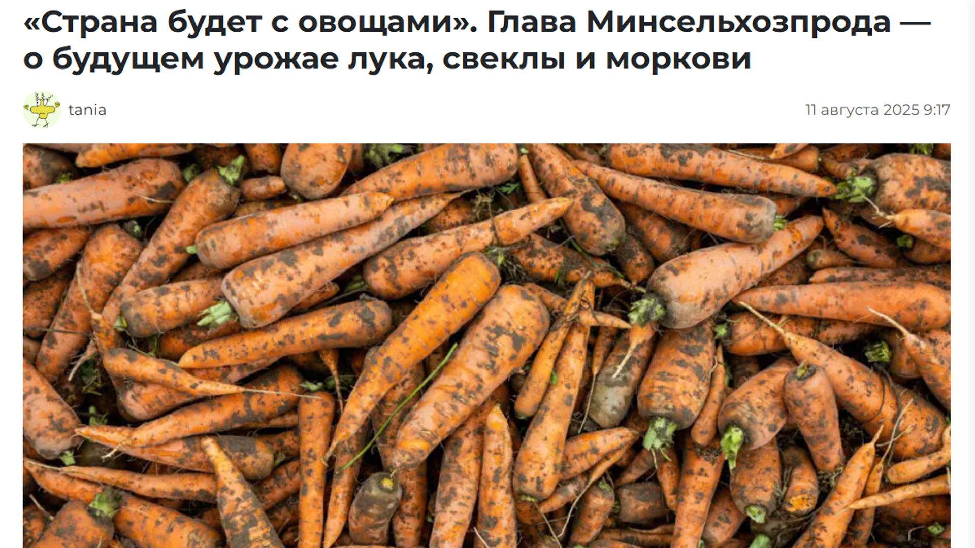 Сайты райисполкомов Могилевщины: витрина успехов или зеркало проблем?