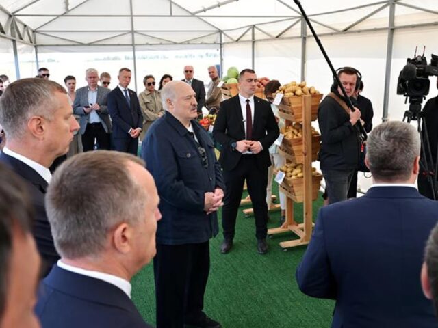 В Кировске Лукашенко приказал выращивать лучшую картошку в мире