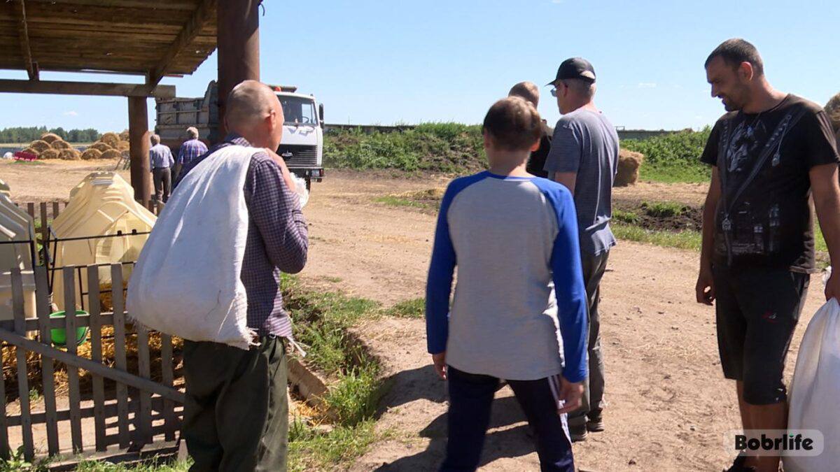 Рабский труд в Бобруйске назвали “уникальным проектом”