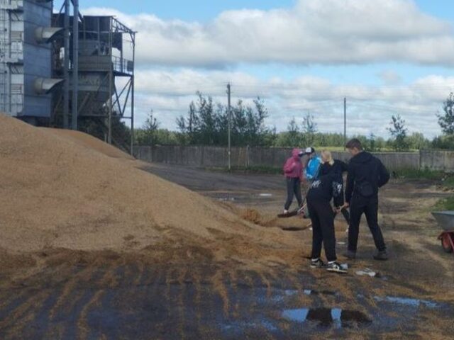 На Дрыбіншчыне студатрад ледзьве не застаўся без заробку