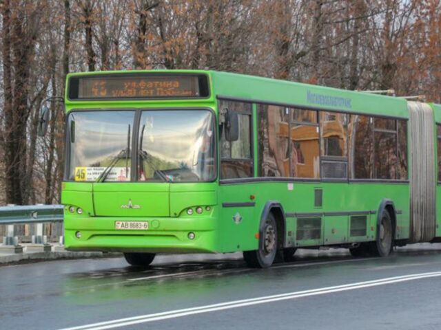 Иностранец “подрался” с автобусом в Могилеве и был наказан