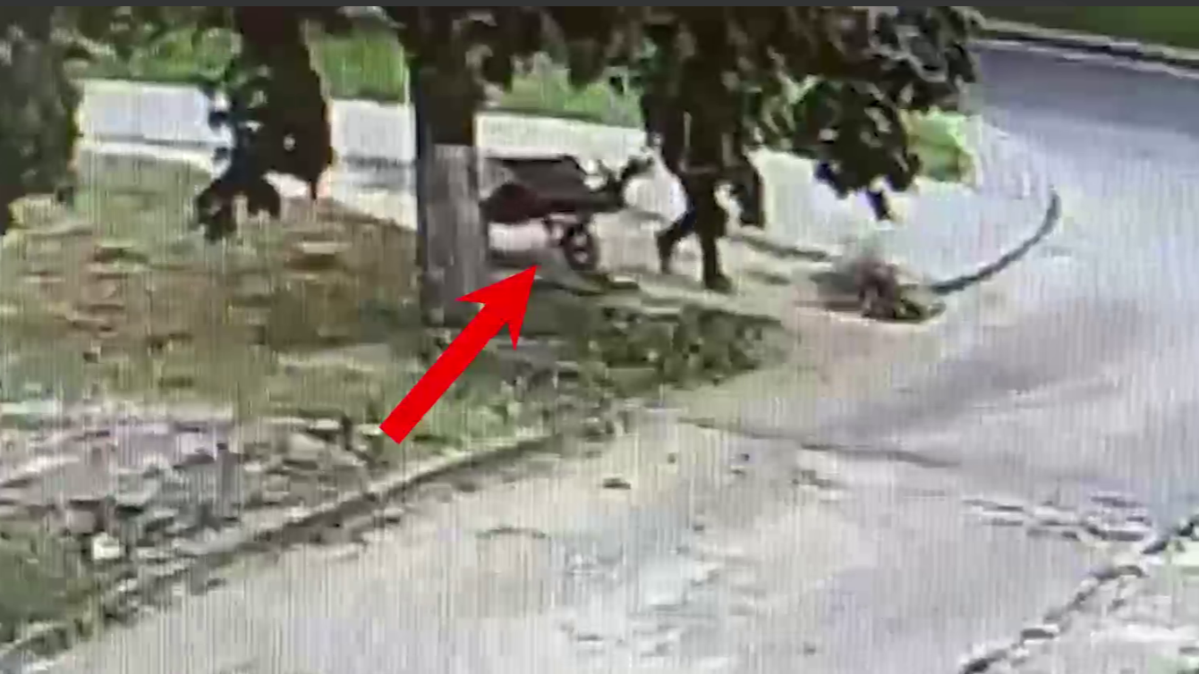 Жыццё давяло пенсіянерку да крадзяжу электрасамаката