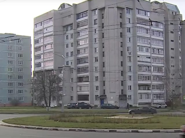 230 000 чалавек займаліся азеляненнем, але з высаджаных у Магілёве кустоў не знайшлі ніводнага