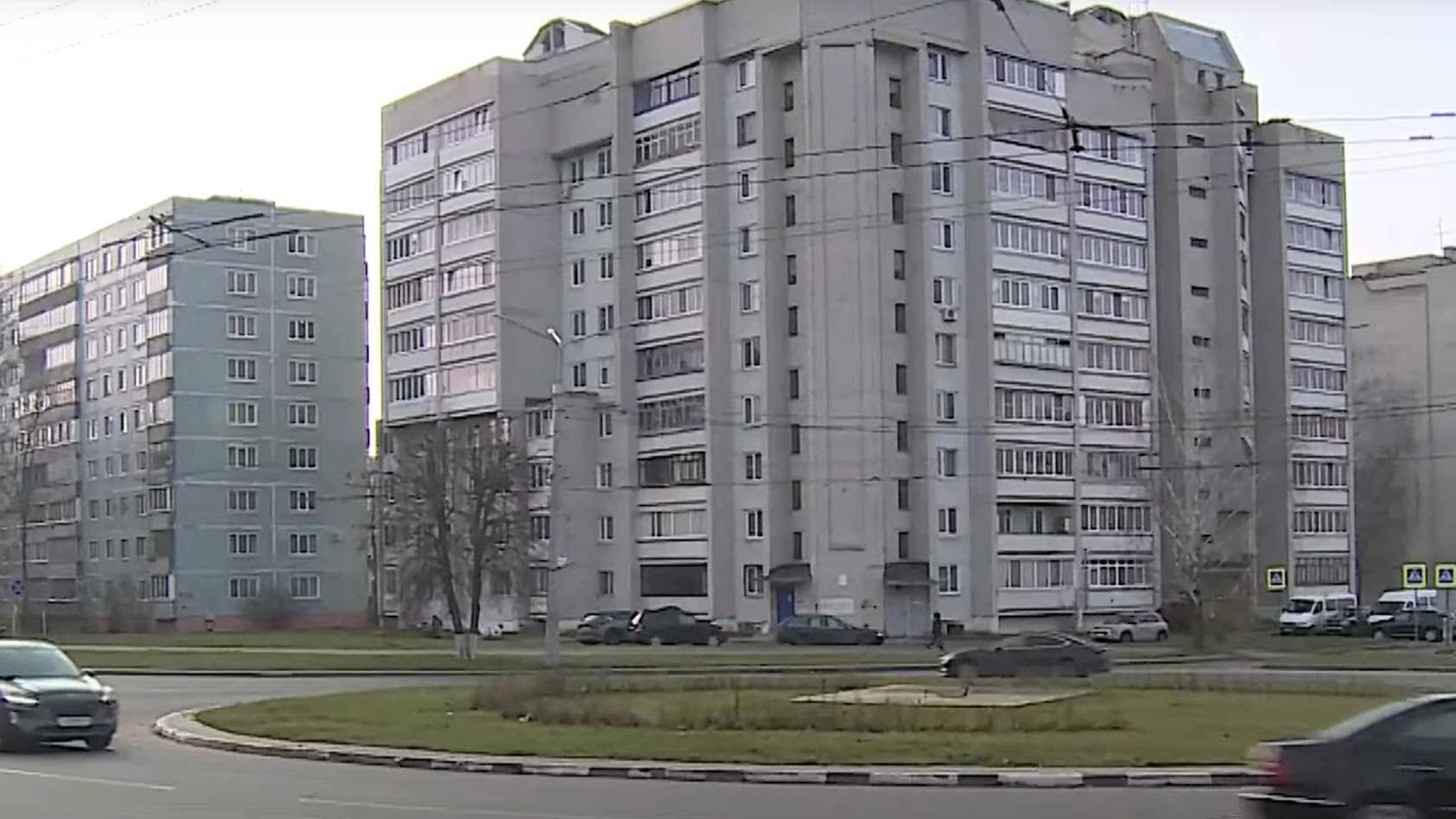 230 000 чалавек займаліся азеляненнем, але з высаджаных у Магілёве кустоў не знайшлі ніводнага