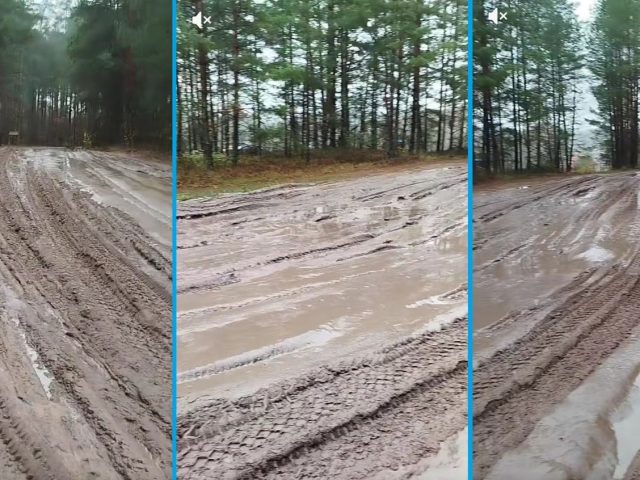 Дарогу ў быхаўскай вёсцы паказалі ў TikTok
