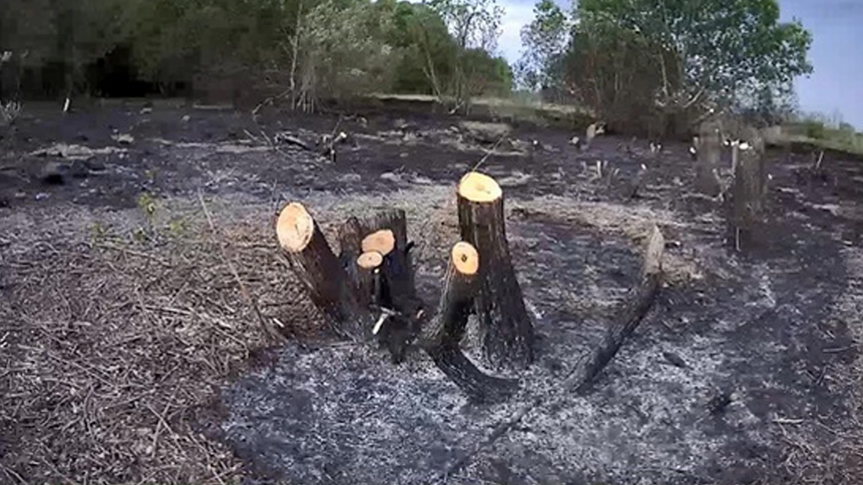 Бабруйчанін хацеў бачыць раку. Вось як адрэагаваў пракурор