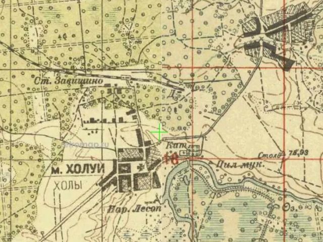 Як Халуі ў Асіповіцкім раёне ператварыліся ў Ліпень