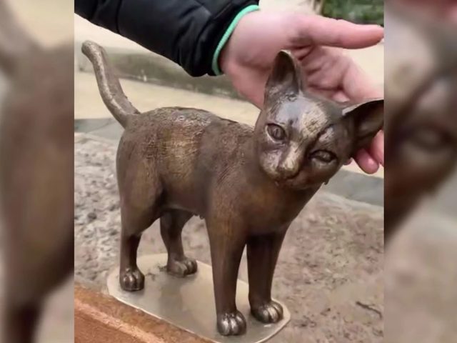 На Ленінскай у Магілёве з’явіліся прыгожыя коцікі