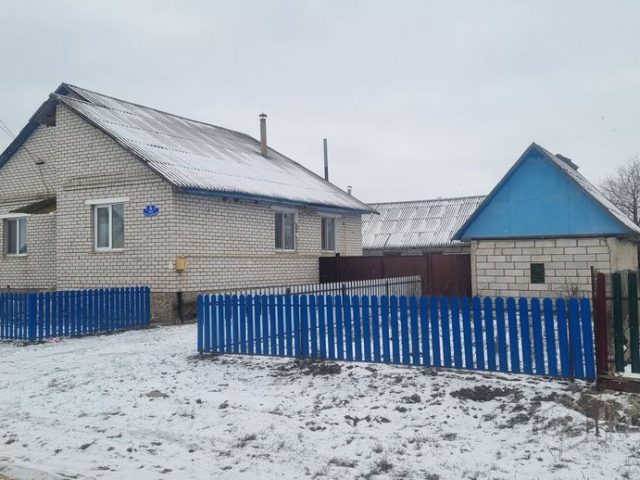 Жыхароў Паршына пад Горкамі палохаюць шалёныя лісы і бадзяжныя сабакі